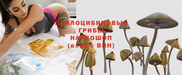 дживик Магадан