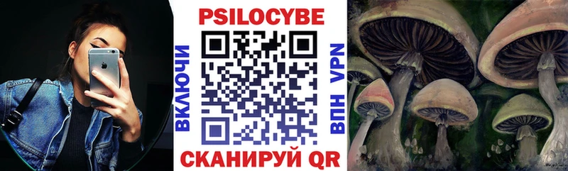Галлюциногенные грибы мухоморы  где купить наркоту  Вологда 
