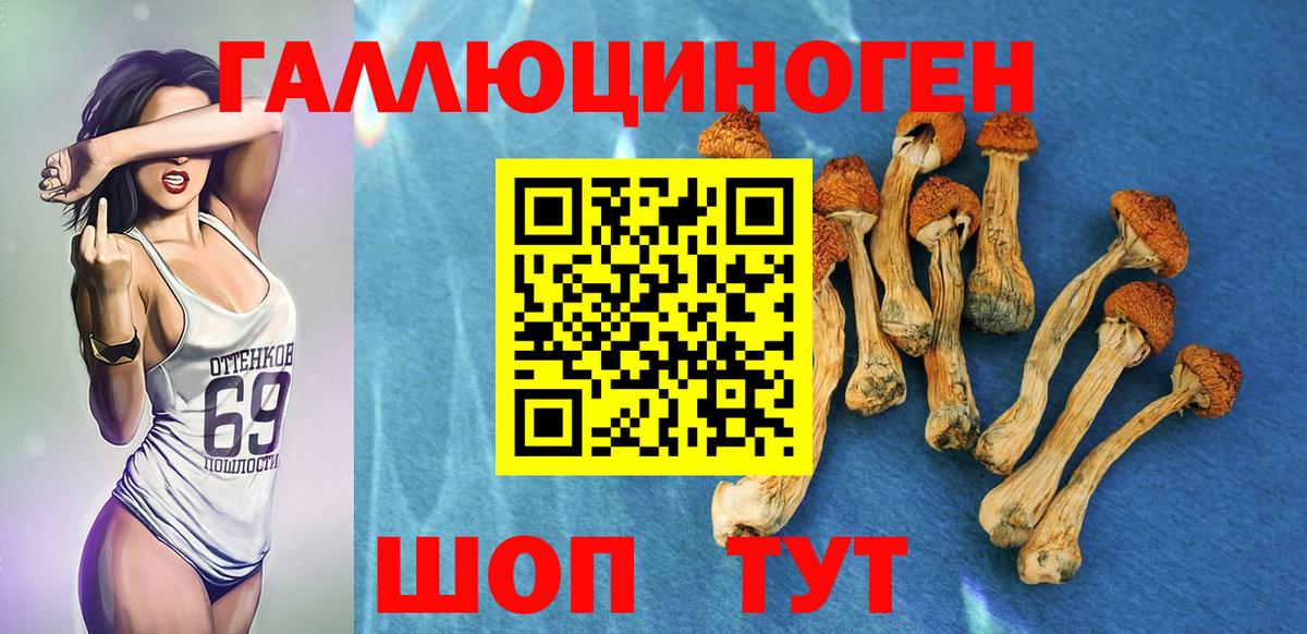 Псилоцибиновые грибы GOLDEN TEACHER Вологда
